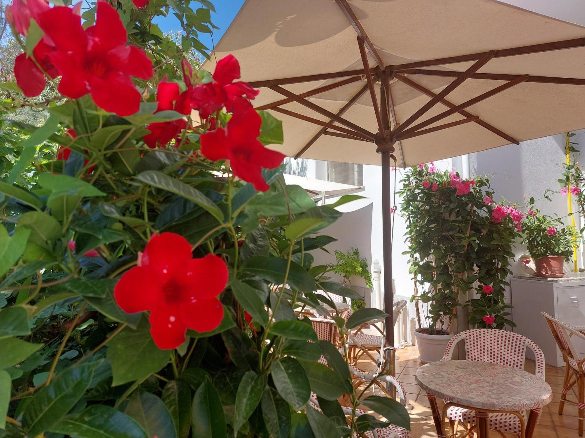 Hotel Driade Sul Mare Rimini Exteriér fotografie